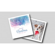 Holiday Card / Postcard